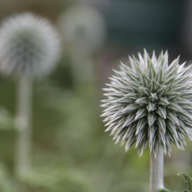 Praktijk voor Houding en Beweging, ervaringen