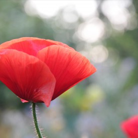 Praktijk voor Houding en Beweging, ervaringen